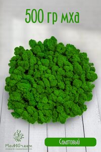 Мох стабилизированный/ягель (500 гр) Цвет - салатовый