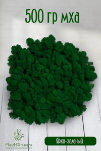 Мох стабилизированный/ягель (500 гр) Цвет - ярко-зеленый
