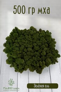Мох стабилизированный/ягель (500 гр) Цвет - зеленая ель