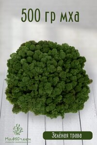 Мох стабилизированный/ягель (500 гр) Цвет - зеленая трава