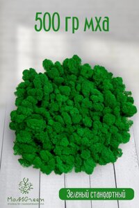 Мох стабилизированный/ягель (500 гр) Цвет - зеленый стандартный