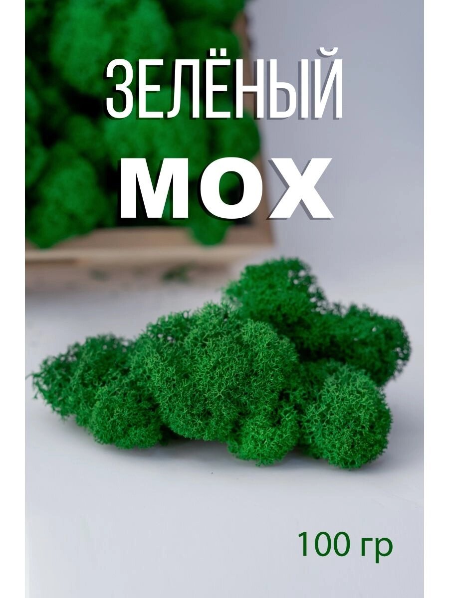 Мох стабилизированный ягеля для декора от компании MossGreen - фото 1