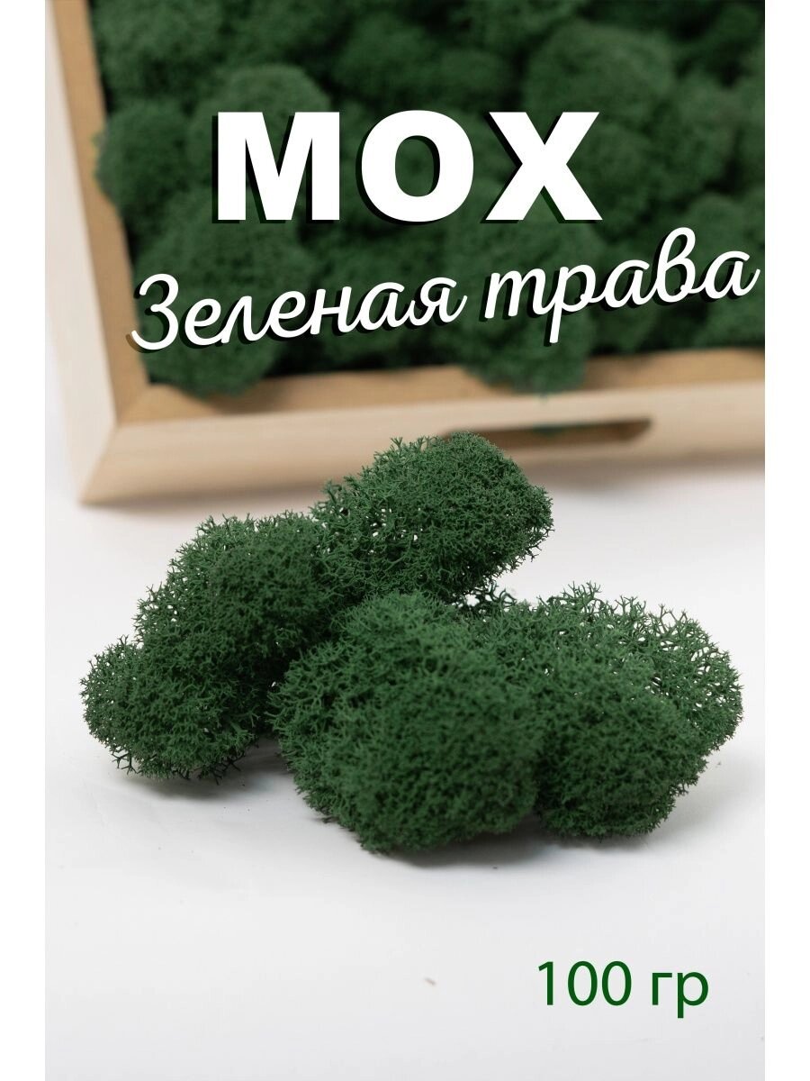 Мох стабилизированный ягеля для декора от компании MossGreen - фото 1