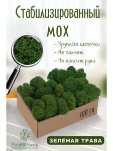 Мох стабилизированный