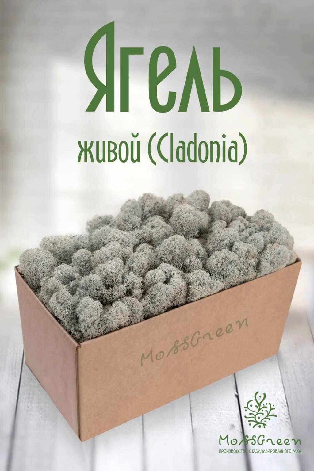 Мох ягель живой натуральный от компании MossGreen - фото 1