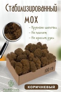 Мох стабилизированный/ягель (100 гр) Цвет - коричневый