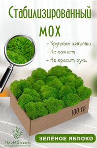 Мох стабилизированный/ягель (100 гр) Цвет - зеленое яблоко