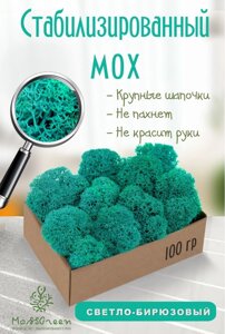 Мох стабилизированный/ягель (100 гр) Цвет - светло-бирюзовый