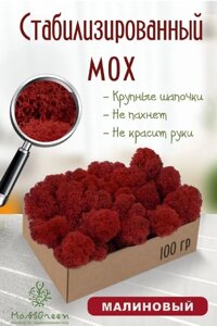 Мох стабилизированный/ягель (100 гр) Цвет - малиновый