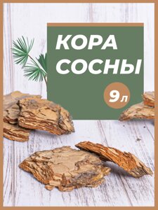 Кора сосны