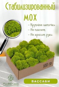 Мох стабилизированный/ягель (100 гр) Цвет - вассаби