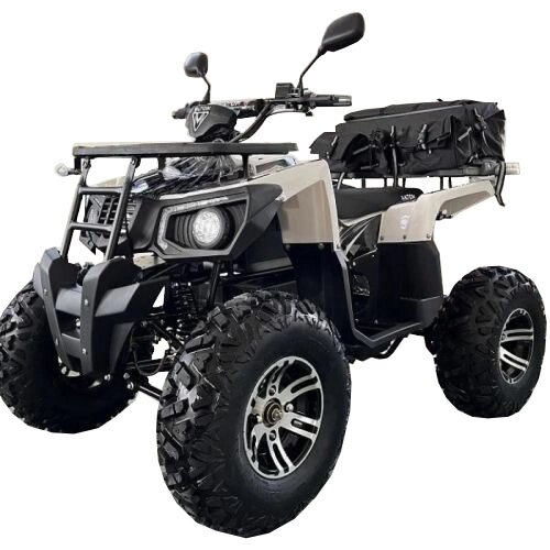 Электроквадроцикл MOTAX ATV GRIZLIK E3000 4WD от компании GlobalDrive - фото 1