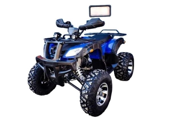 Квадроцикл YAMAHA GRIZZLY ATV 250CC от компании GlobalDrive - фото 1