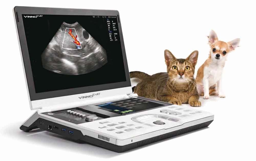 УЗИ на определение беременности собаки / кошки от компании Ветеринарная клиника Эксперт - фото 1