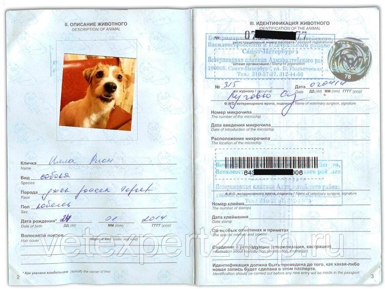 Ветеринарный паспорт с оформлением от компании Ветеринарная клиника Эксперт - фото 1