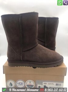 Мужские угги UGG Classic высокие