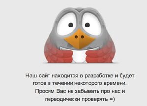 Bottega Ремень Cabbat Черный Плетеный Кожаный