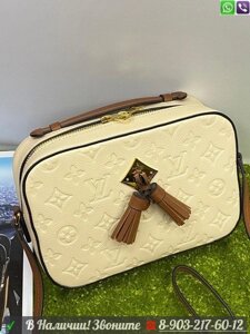 Сумка Louis Vuitton Saintogne Луи Витон квадратный клатч