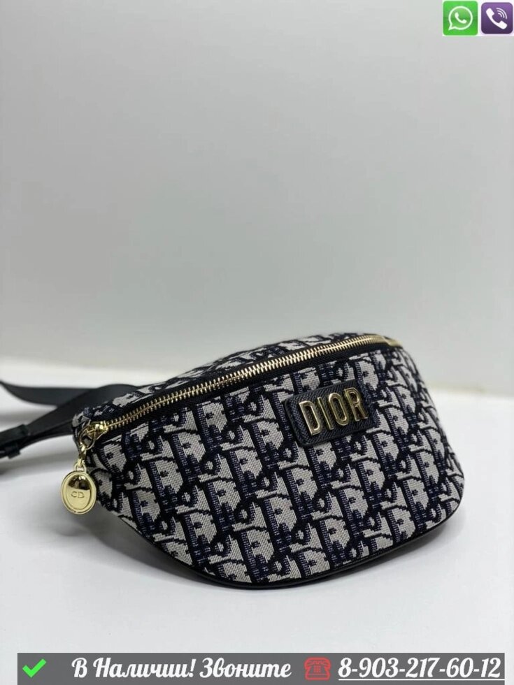 Поясная сумка Christian Dior в логотип от компании Интернет Магазин брендовых сумок и обуви - фото 1