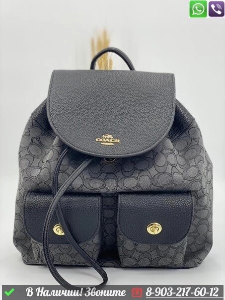 Рюкзак Coach серый от компании Интернет Магазин брендовых сумок и обуви - фото 1
