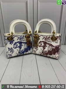 Сумка Dior Lady mini