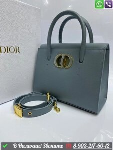 Сумка Dior St Honoré кожаная Серый
