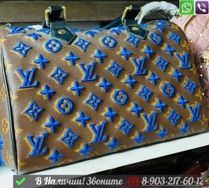 Сумка Louis Vuitton Speedy с вышитым логотипом