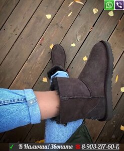 Угги UGG Classic Zip на молнии Пудровый Коричневый