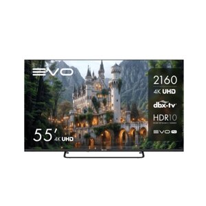 Телевизор evo TD0051754RU Black