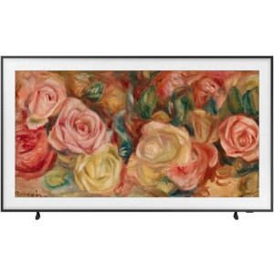 Телевизор Samsung QE43LS03DAUXRU черный