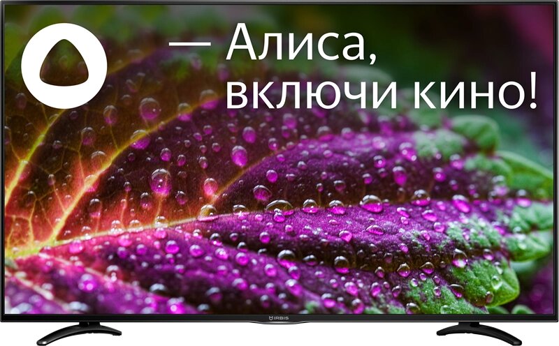 Телевизор IRBIS 50U1YDX185BS2, ,3840x2160, 16:9, Tuner (DVB-T2/DVB-S2/DVB-C/PAL/SECAM), Android 9.0 Pie, Yandex, от компании F-MART - фото 1