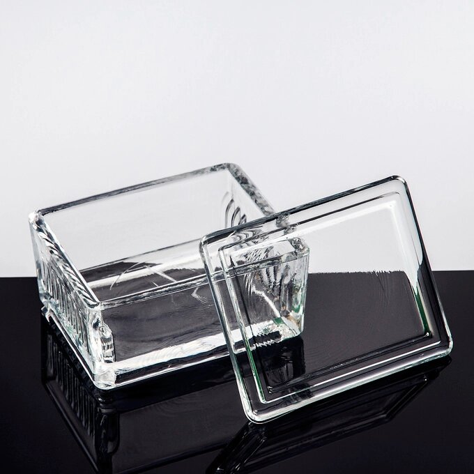 Емкость-сосуд стеклянная на 10 стекол, горизонтально от компании Labdevices - Лабораторное оборудование и посуда - фото 1