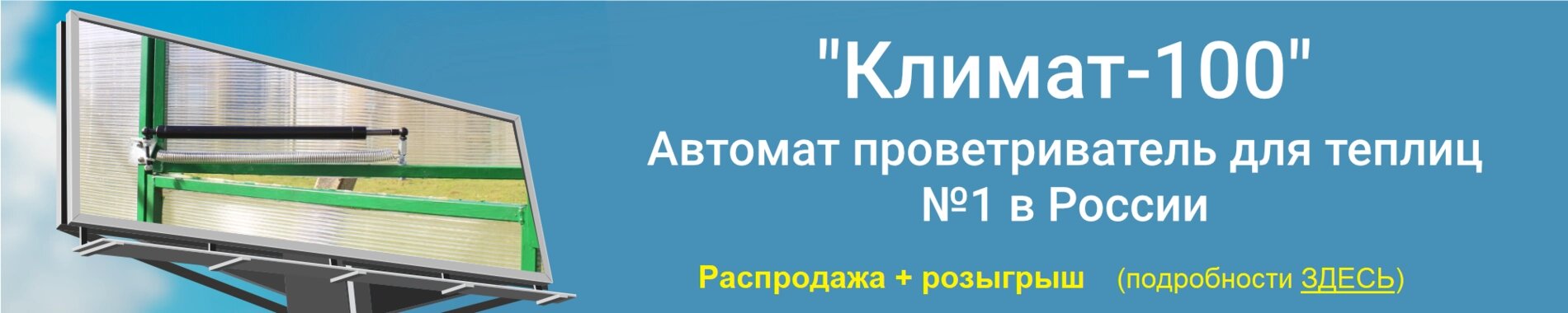 Распродажа и розыгрыш