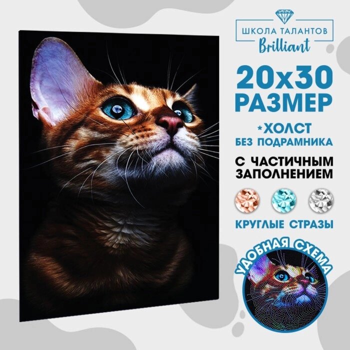 Алмазная мозаика с частичным заполнением «Взгляд кошки» 20х30 см, на холсте от компании Интернет - магазин Flap - фото 1