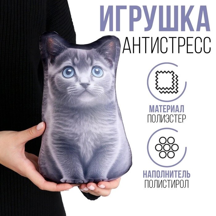 Антистресс игрушка «Котик Русский Голубой» от компании Интернет - магазин Flap - фото 1