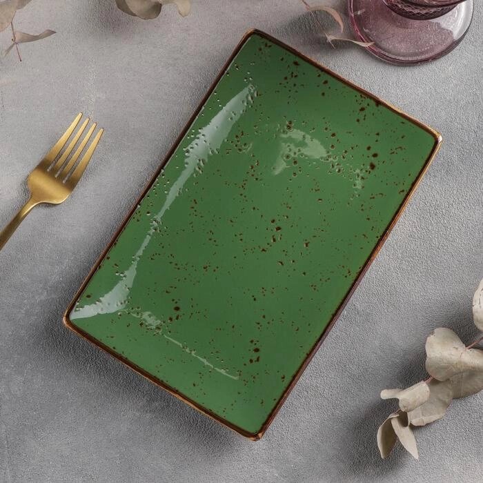 Блюдо керамическое прямоугольное «Созвездие», 2214 см, цвет зелёный от компании Интернет - магазин Flap - фото 1