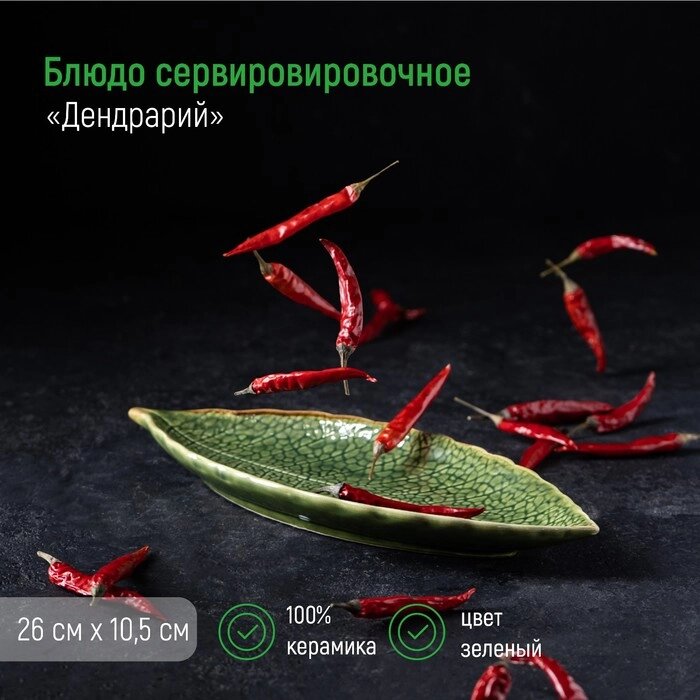 Блюдо керамическое сервировочное «Дендрарий», 2610,51,5 см, цвет зелёный от компании Интернет - магазин Flap - фото 1