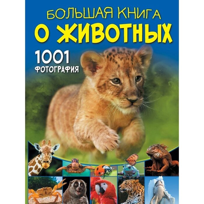 Большая книга о животных. 1001 фотография. Ермакович Д. И. от компании Интернет - магазин Flap - фото 1