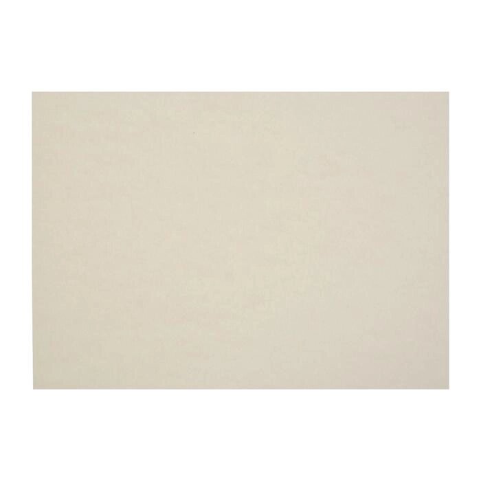 Бумага для рисования А3, 50 листов, 200 г/м², цвет слоновая кость от компании Интернет - магазин Flap - фото 1