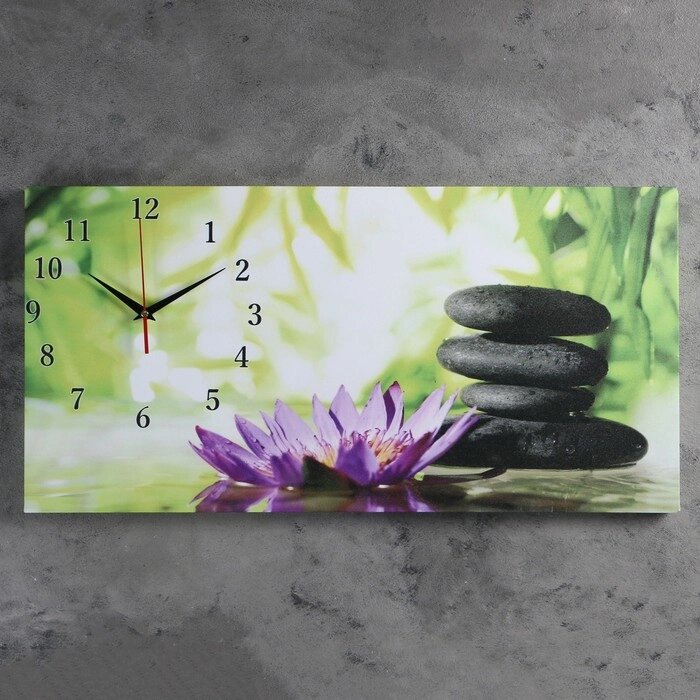 Часы-картина настенные, на холсте, серия: Цветы, "Цветы и камни", 40х76  см от компании Интернет - магазин Flap - фото 1