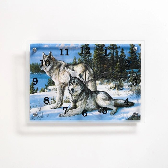 Часы настенные, серия: Животный мир, "Волки в Зимнем Лесу", 25х35 см от компании Интернет - магазин Flap - фото 1