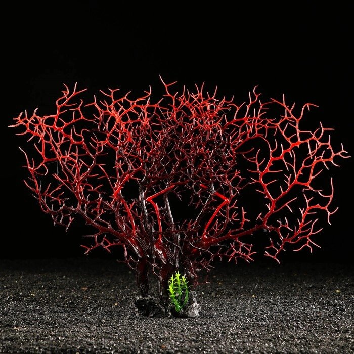 Декор для аквариума "Коралловое растение", 34 х 10 х 28 см от компании Интернет - магазин Flap - фото 1