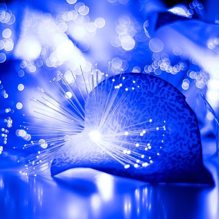 Декоративная подсветка "Антуриум" 20хLED 4000К 5м синий 500х9х10см RISALUX от компании Интернет - магазин Flap - фото 1