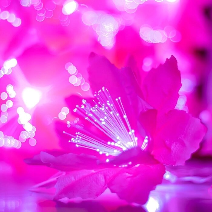 Декоративная подсветка "Малопа" 20хLED 4000К 5м розовый 500х14х14см RISALUX от компании Интернет - магазин Flap - фото 1