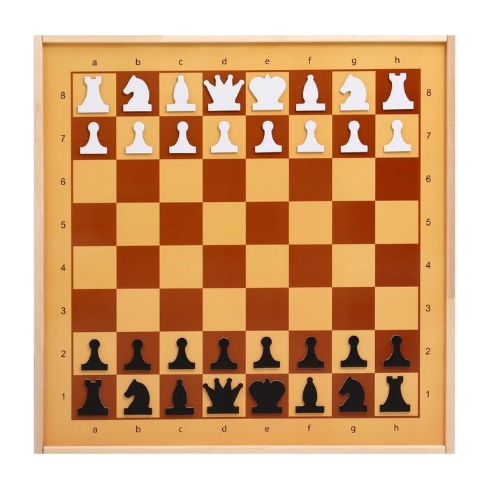 Демонстрационные шахматы 61 х 61 см, на магнитной доске, король 6.4 см от компании Интернет - магазин Flap - фото 1