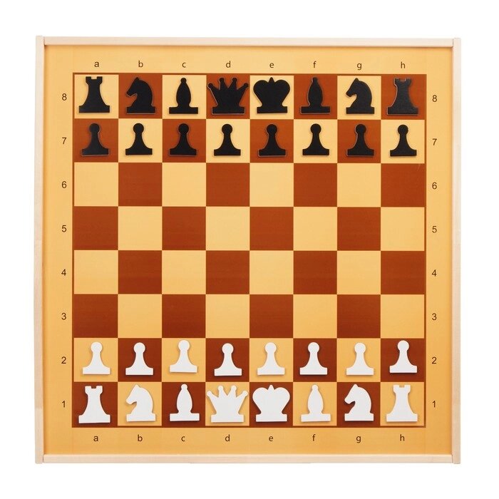 Демонстрационные шахматы и шашки 61 х 61 см, на магнитной доске, король 6.4 см от компании Интернет - магазин Flap - фото 1