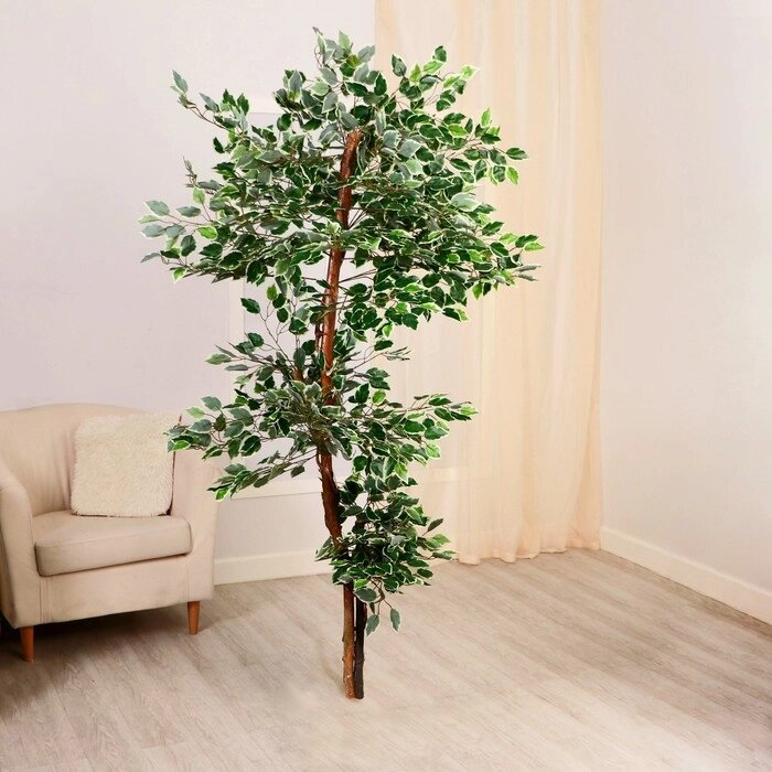 Дерево искусственное "Фикус Бенджамина" 165 см от компании Интернет - магазин Flap - фото 1