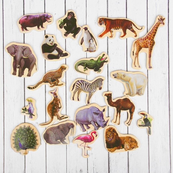 Деревянные магниты «Дикие животные», набор 20 шт. от компании Интернет - магазин Flap - фото 1