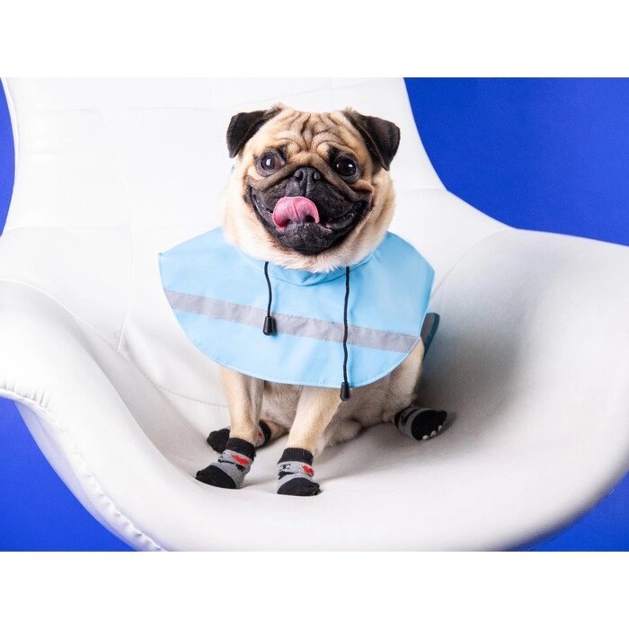 Дождевик для собак, размер М (ДС 25-30, ОГ 33-35, ОШ 21-25 см), микс цветов от компании Интернет - магазин Flap - фото 1