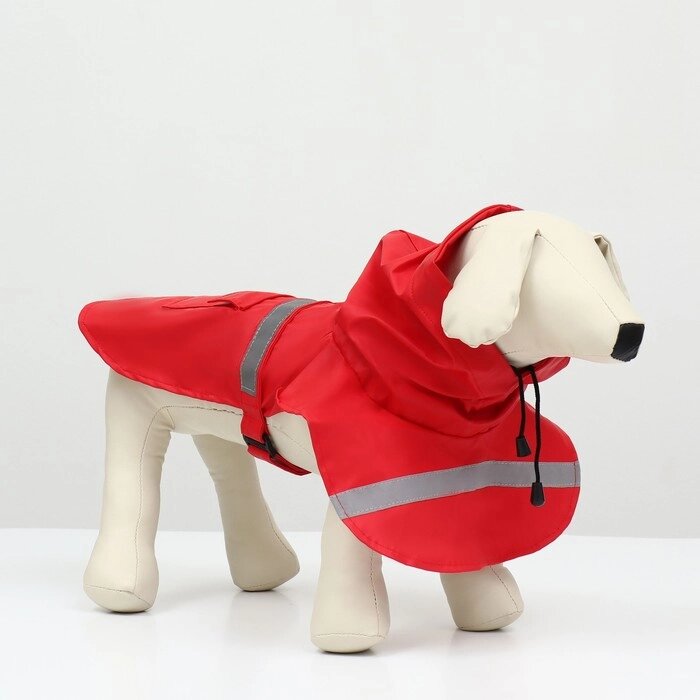Дождевик для собак, размер S (ДС 20-25, ОГ 25-30, ОШ 17-21 см), красный от компании Интернет - магазин Flap - фото 1